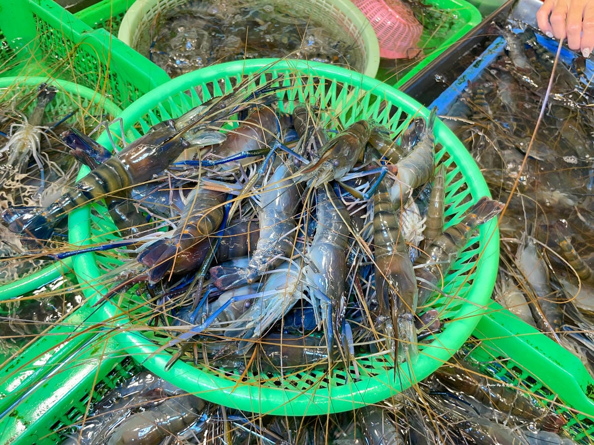 IMG_1199_調整大小.jpg