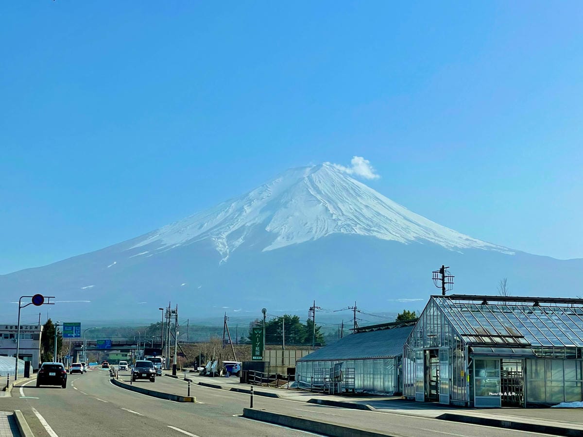 IMG_3095_調整大小.jpg IMG_3095_調整大小.jpg