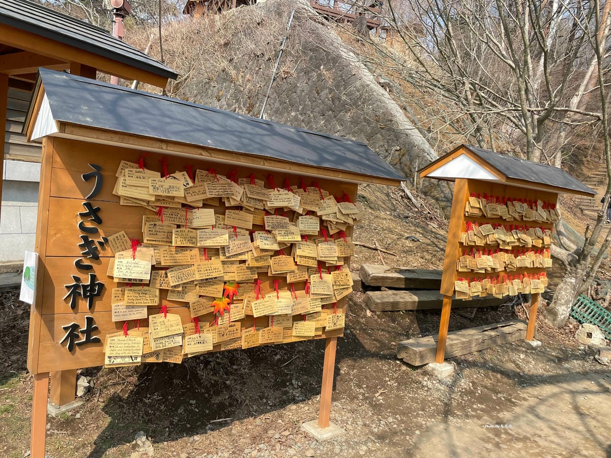 IMG_3063_調整大小.jpg IMG_3063_調整大小.jpg