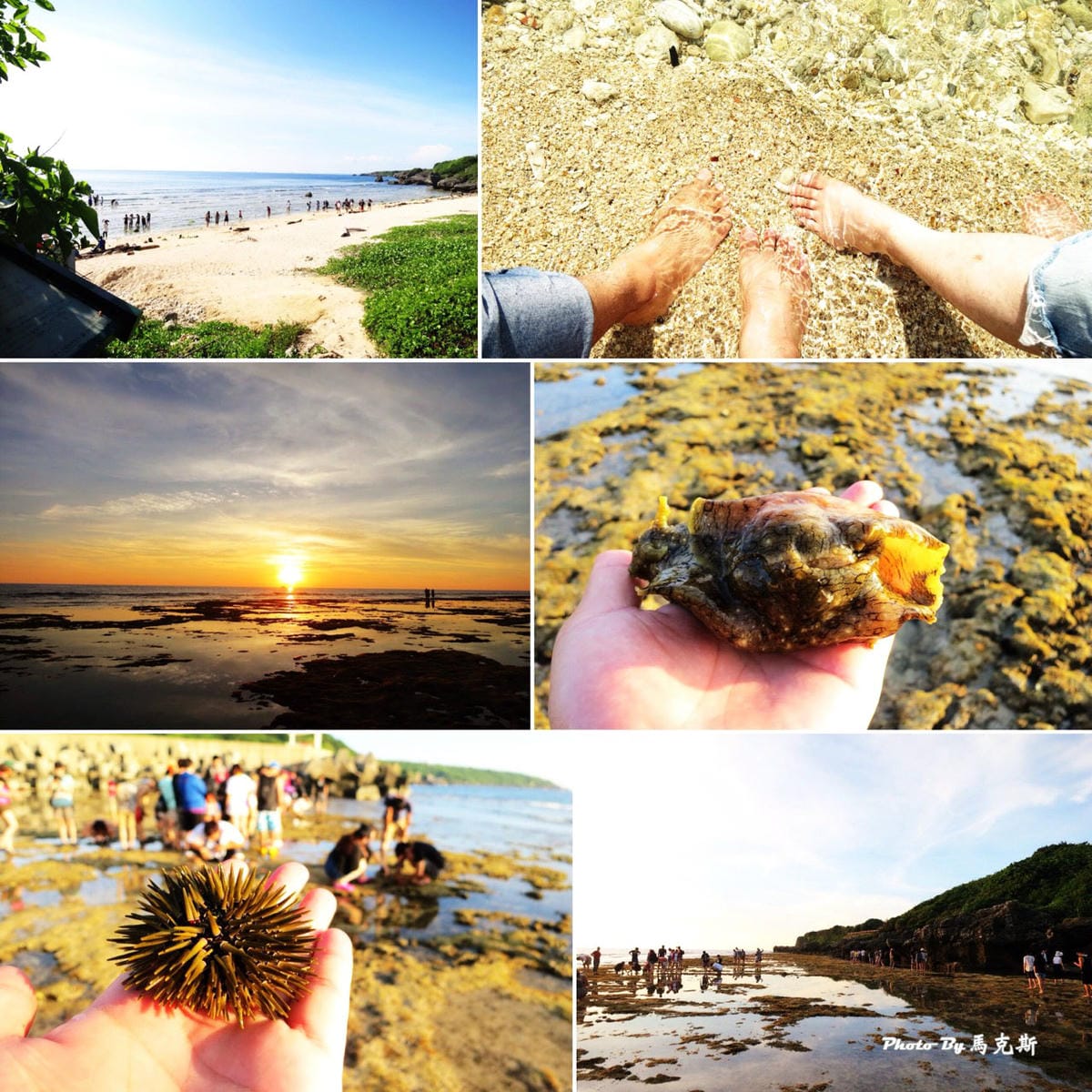 IMG_7305_調整大小 IMG_7305_調整大小