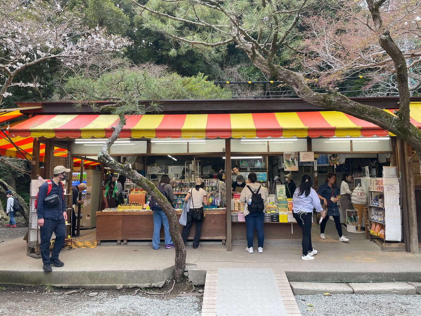 【日本鎌倉景點推薦】鎌倉大佛殿高德院｜日本第二大青銅佛像 日本國寶級的重要地標 江之島電鐵長谷站景點推薦