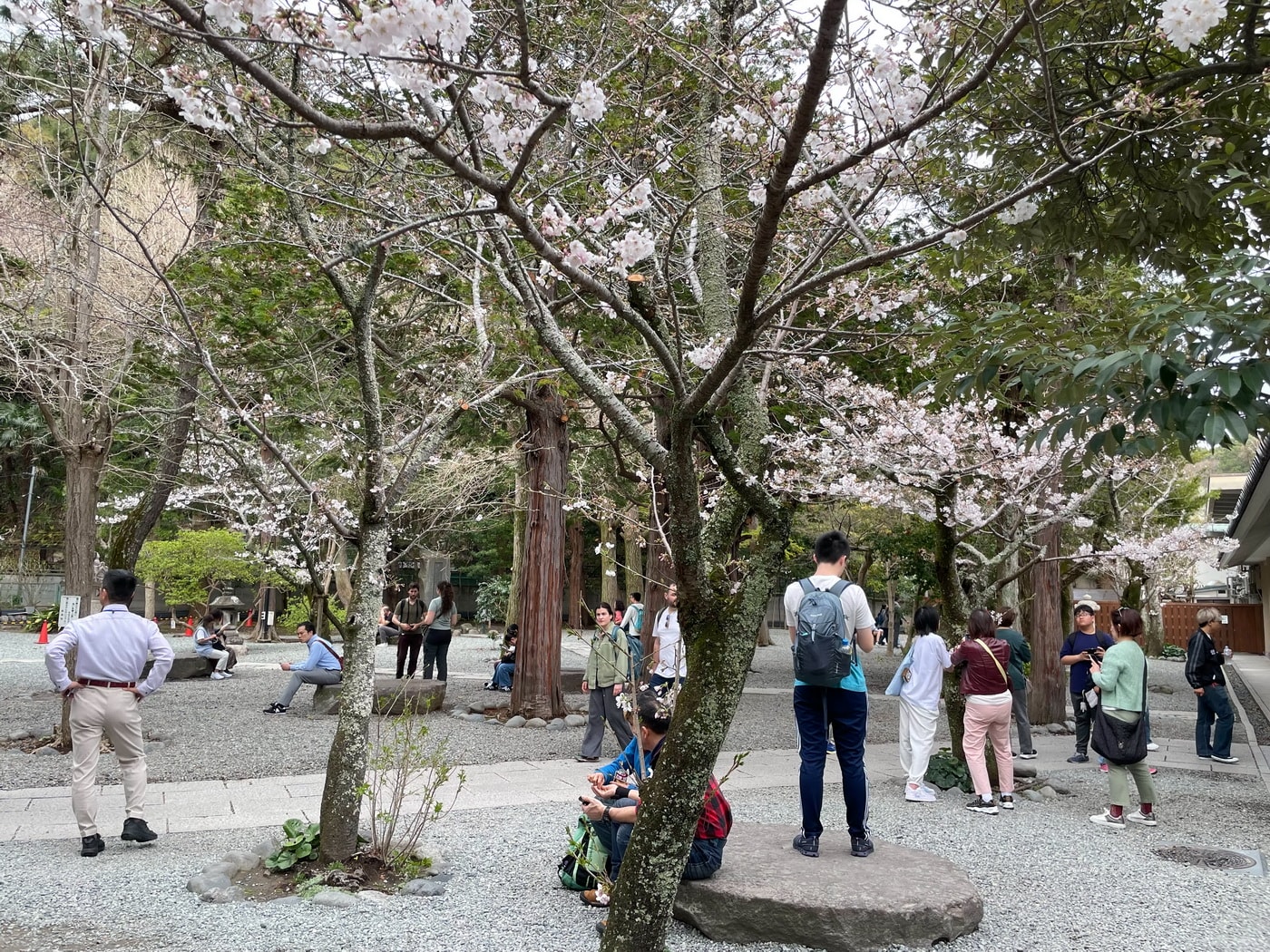 【日本鎌倉景點推薦】鎌倉大佛殿高德院｜日本第二大青銅佛像 日本國寶級的重要地標 江之島電鐵長谷站景點推薦