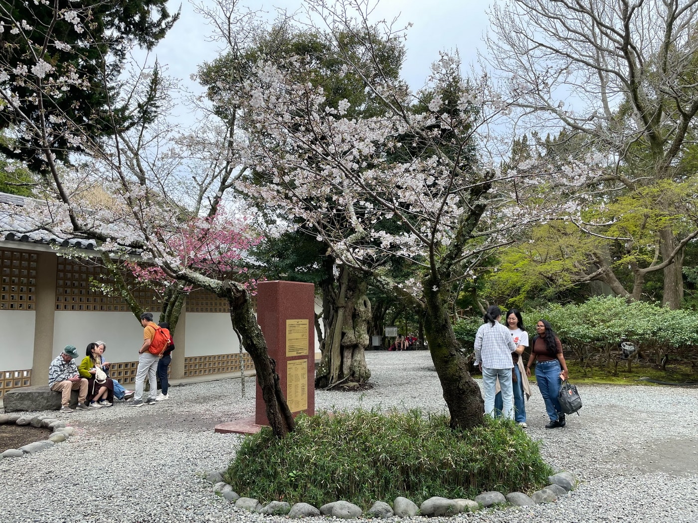 【日本鎌倉景點推薦】鎌倉大佛殿高德院｜日本第二大青銅佛像 日本國寶級的重要地標 江之島電鐵長谷站景點推薦