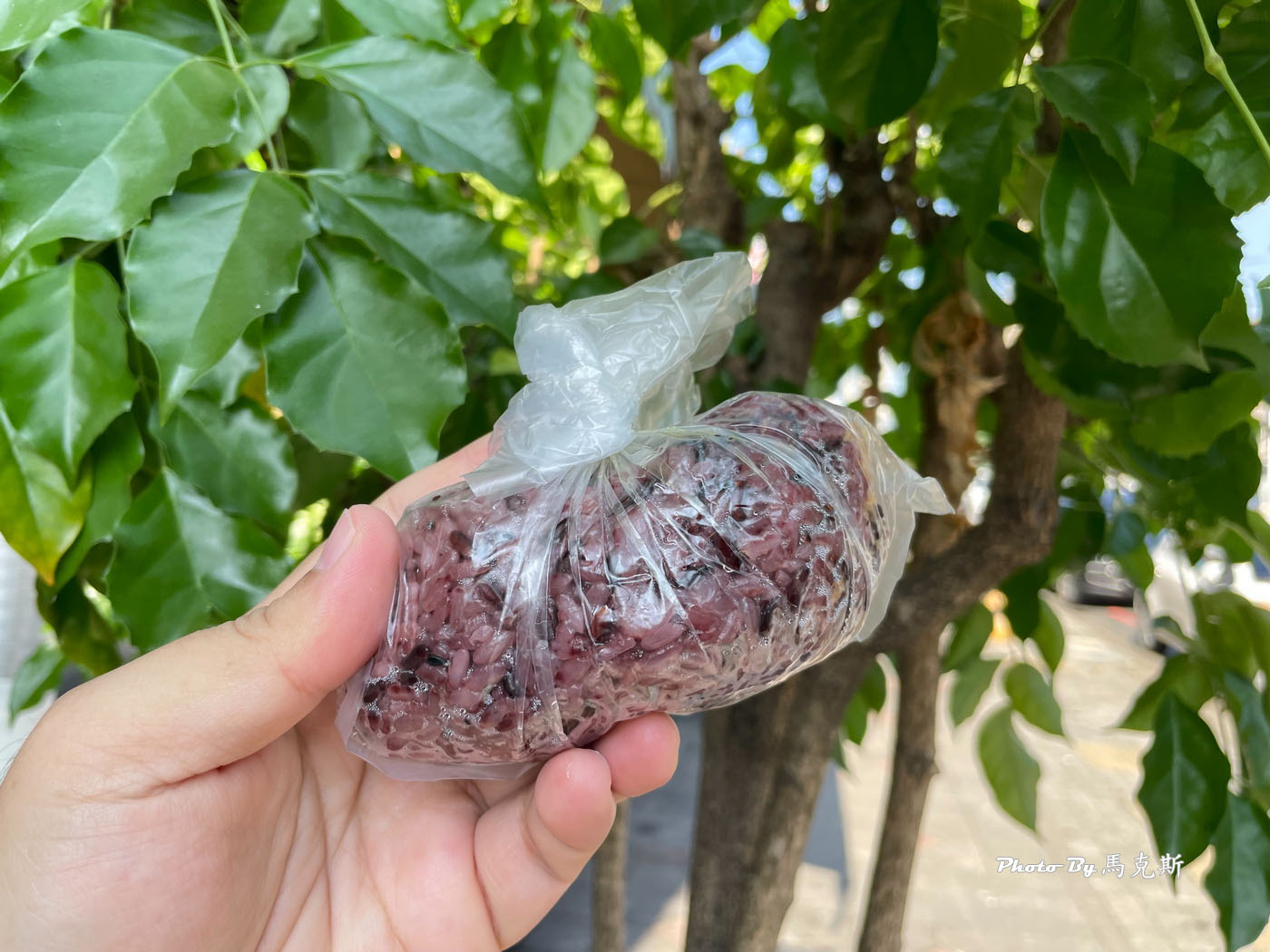 【南投美食推薦】南投黑古豆漿｜南崗工業區人氣銅板價早餐 古早味炒麵和飯糰喜歡 晚來容易賣完|外帶|台灣麻糬主題館|