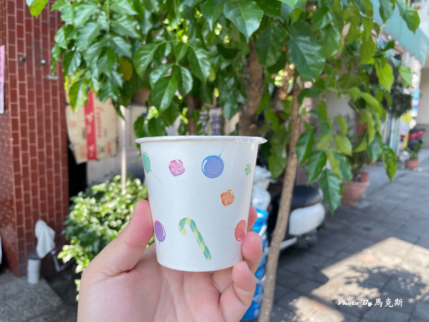 【南投美食推薦】南投黑古豆漿｜南崗工業區人氣銅板價早餐 古早味炒麵和飯糰喜歡 晚來容易賣完|外帶|台灣麻糬主題館|