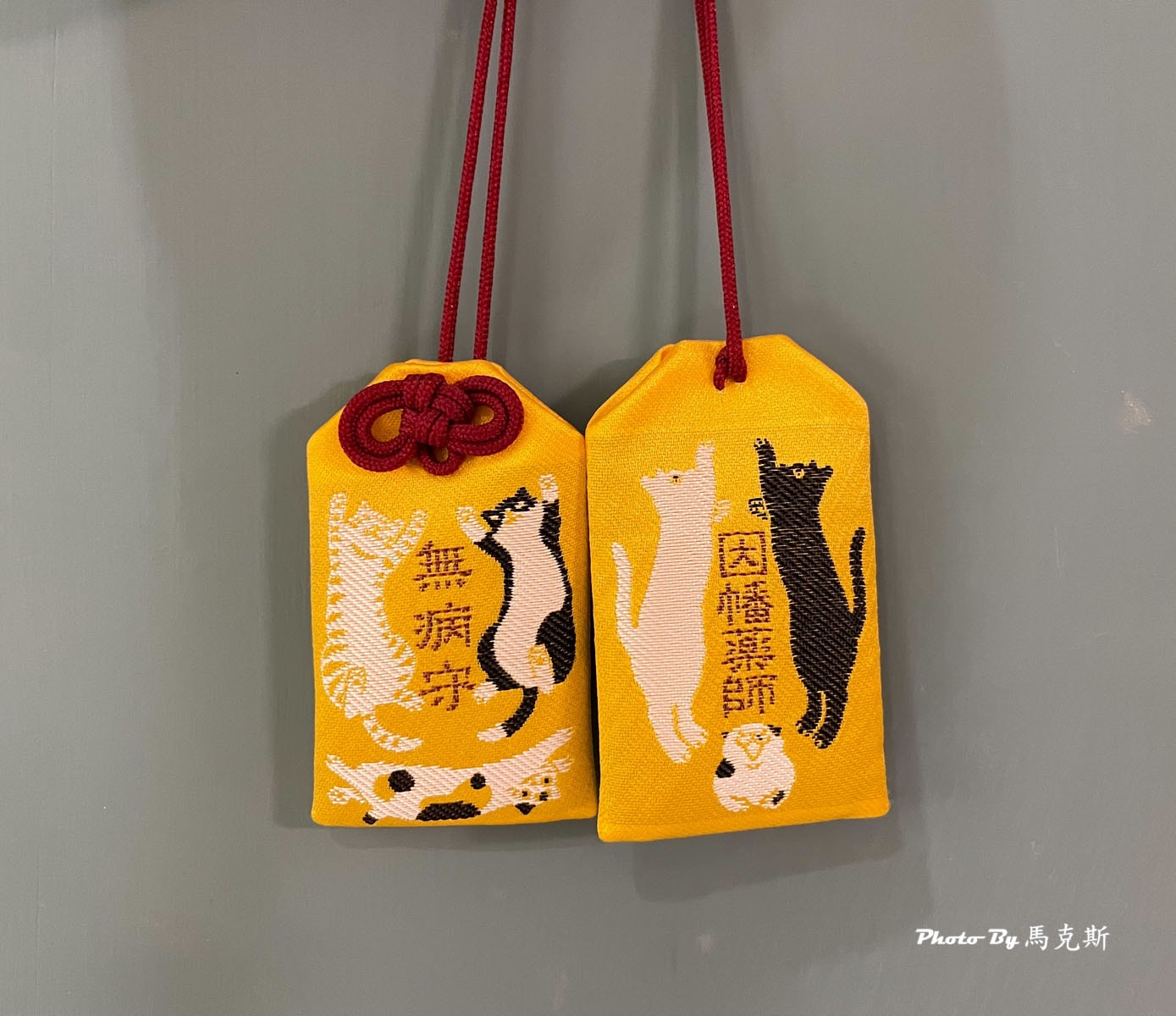【京都景點推薦】平等寺因幡堂｜祈求健康抗癌的千年歷史寺廟 六貓無病守御守超可愛必買 有養毛孩的推薦別錯過