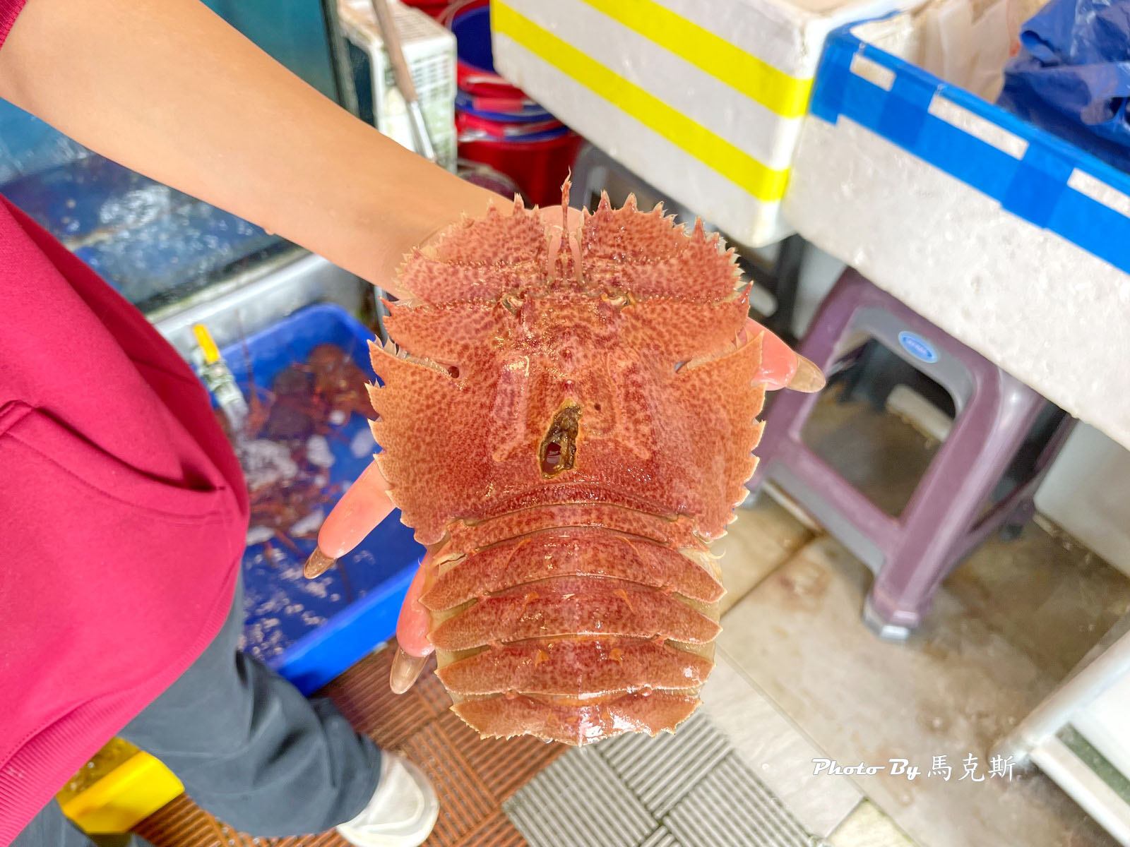 【宜蘭頭城美食推薦】蟹老闆活海鮮｜烏石港人氣海鮮餐廳 現撈活體海鮮 食材新鮮好吃但稍貴些 聚餐聚會新選擇 近蘭陽博物館